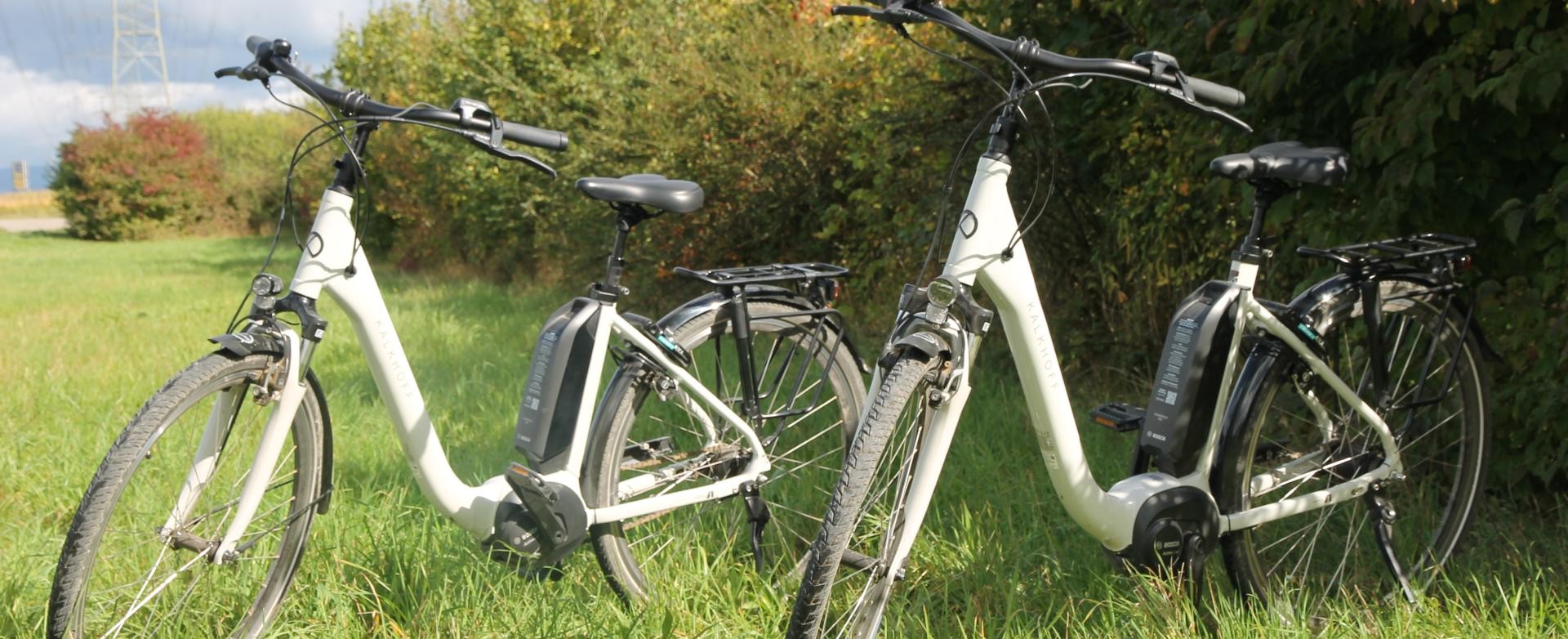 Zwei E-Bikes stehen im Gras