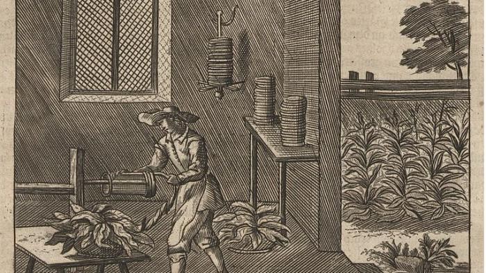 Gezeichnetes Bild. Bauer verarbeitet Tabak Holzschnitt eines Bauern, der Tabak verarbeitet